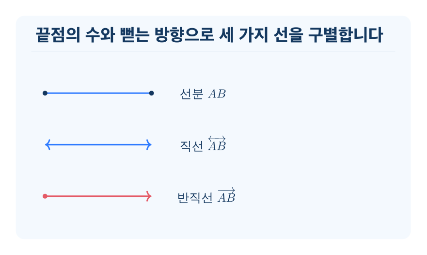 선분, 직선, 반직선 개념을 설명하는 수학 도식