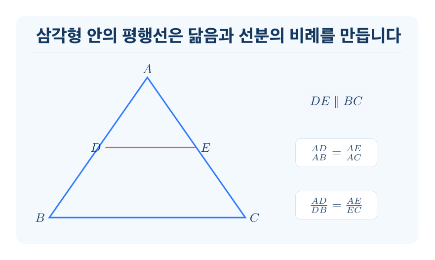 삼각형과 평행선 개념을 설명하는 수학 도식